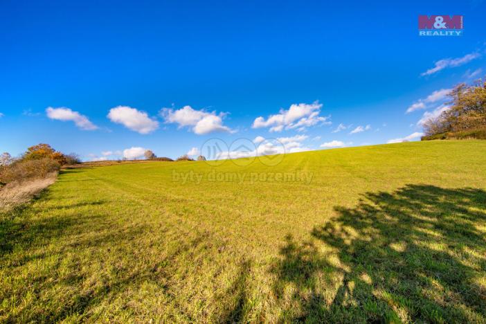 Prodej zemědělské půdy, Kolinec, 6484 m2