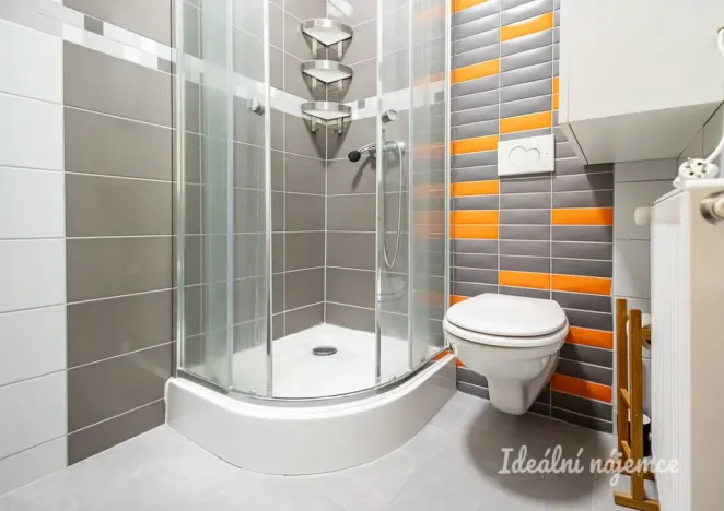 Pronájem bytu 2+kk, Praha - Žižkov, Biskupcova, 44 m2