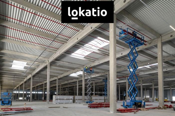 Pronájem skladu, Bor, 9786 m2