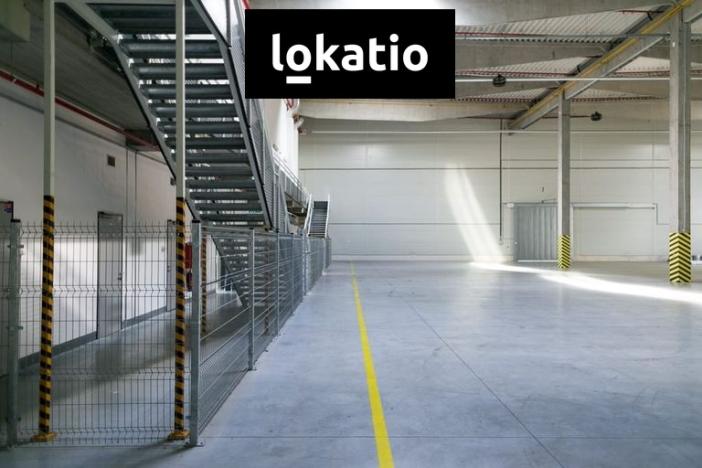 Pronájem skladu, Bor, 9786 m2