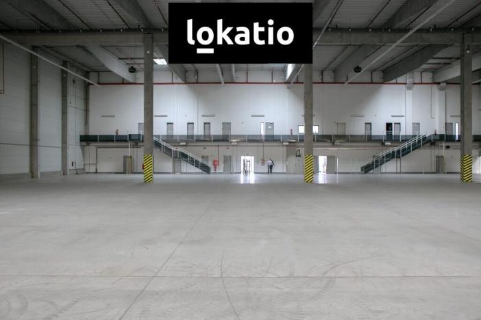 Pronájem skladu, Bor, 9786 m2