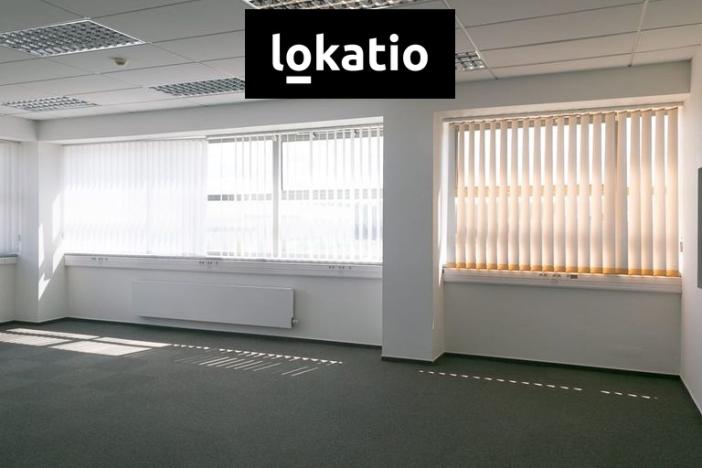 Pronájem skladu, Bor, 9786 m2