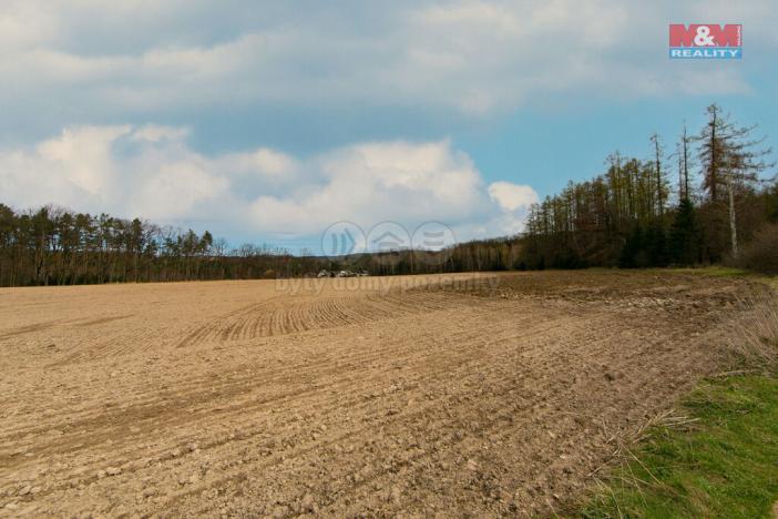 Prodej zemědělské půdy, Předenice, 5839 m2