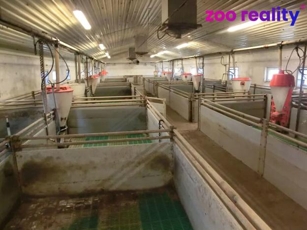 Prodej obchodního prostoru, Majdalena, 2000 m2