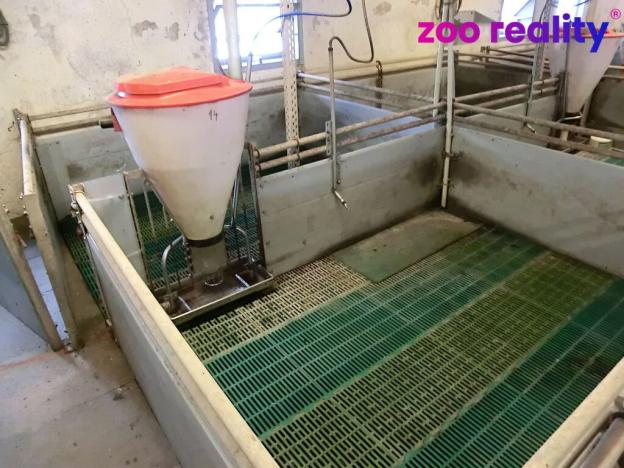 Prodej obchodního prostoru, Majdalena, 2000 m2