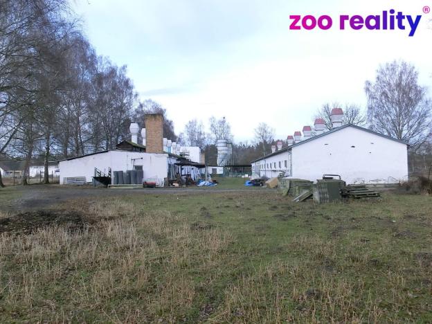 Prodej obchodního prostoru, Majdalena, 2000 m2