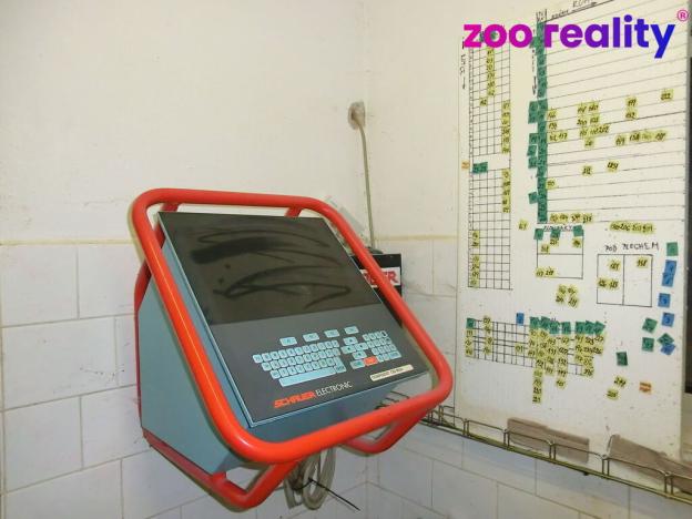 Prodej obchodního prostoru, Majdalena, 2000 m2