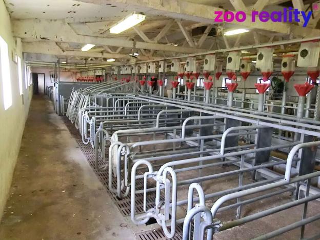 Prodej obchodního prostoru, Majdalena, 2000 m2