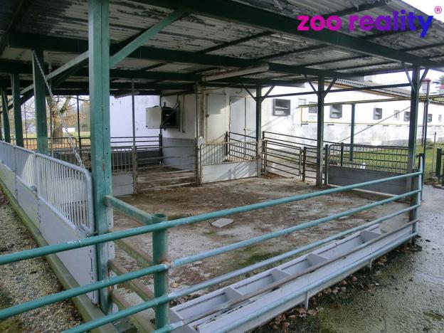 Prodej obchodního prostoru, Majdalena, 2000 m2