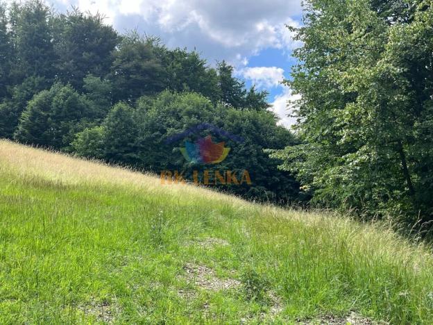 Prodej pozemku pro bydlení, Řeka, 5654 m2