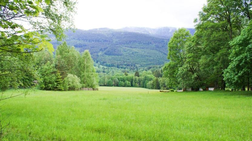 Prodej pozemku pro bydlení, Železná Ruda - Hojsova Stráž, 16959 m2