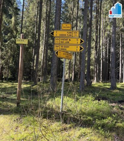 Prodej rybníku, Trstěnice, Trstěnice, 16545 m2