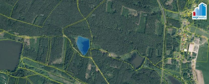 Prodej rybníku, Trstěnice, Trstěnice, 16545 m2