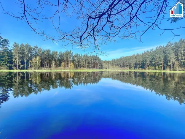 Prodej rybníku, Trstěnice, Trstěnice, 16545 m2