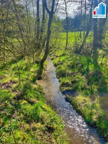 Prodej rybníku, Trstěnice, Trstěnice, 16545 m2