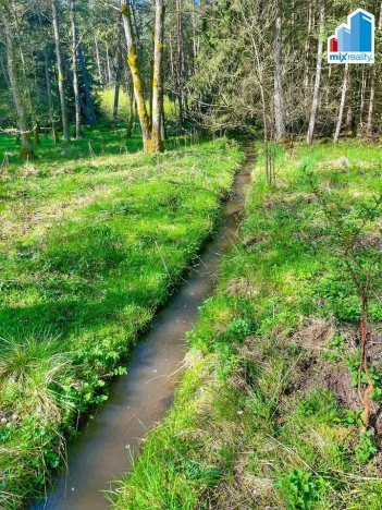 Prodej rybníku, Trstěnice, Trstěnice, 16545 m2