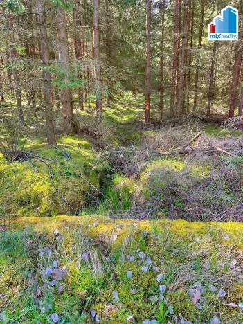 Prodej rybníku, Trstěnice, Trstěnice, 16545 m2