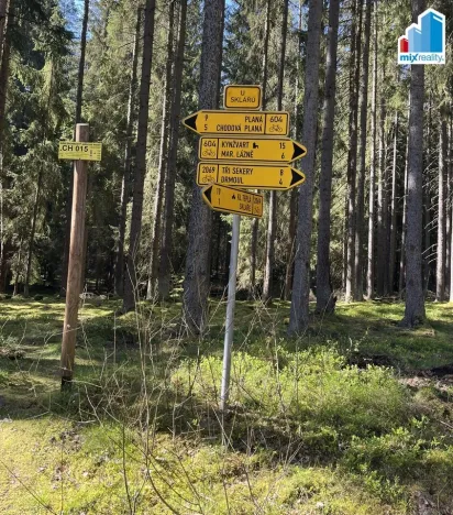 Prodej rybníku, Trstěnice, Trstěnice, 16545 m2