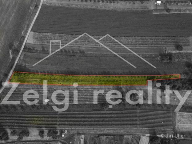 Prodej sadu/vinice, Svatobořice-Mistřín - Mistřín, 3501 m2