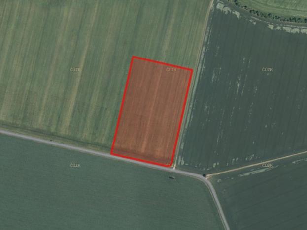 Prodej zemědělské půdy, Loučany, 10790 m2