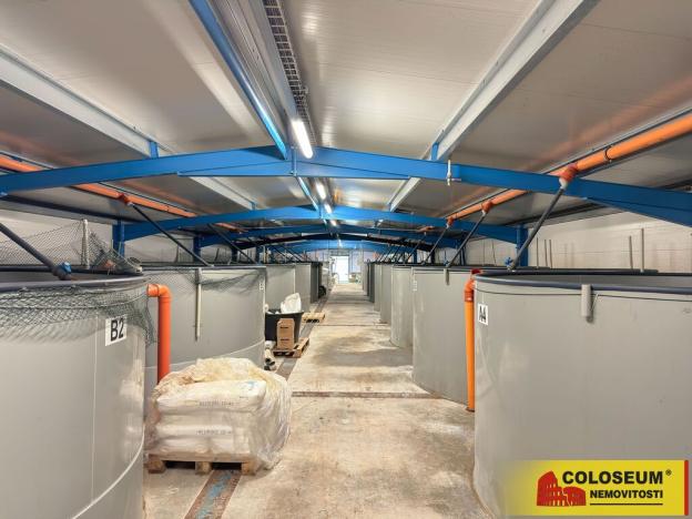 Prodej skladu, Nedvědice, 1382 m2