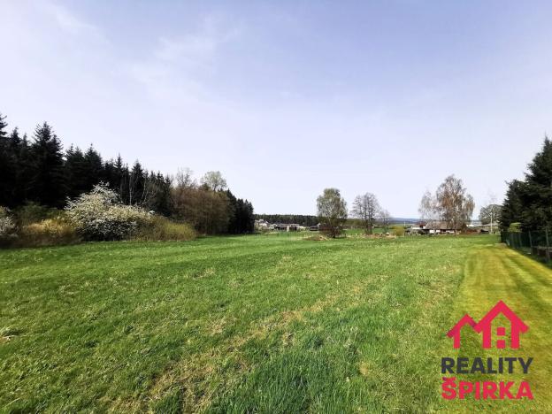 Prodej trvalého travního porostu, Dlouhoňovice, 4698 m2