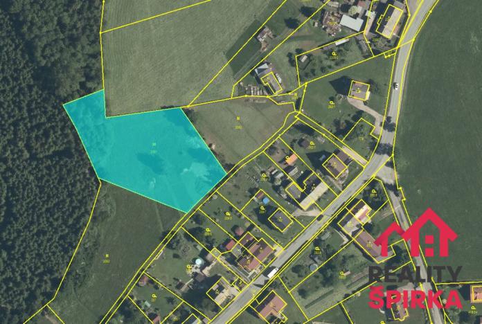 Prodej trvalého travního porostu, Dlouhoňovice, 4698 m2