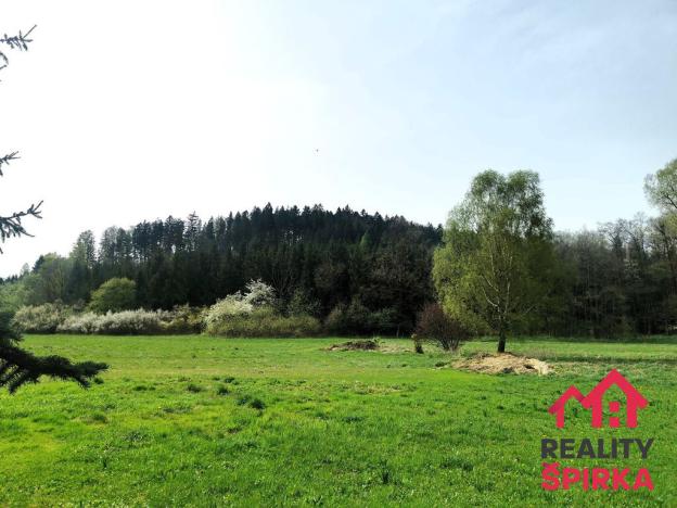 Prodej trvalého travního porostu, Dlouhoňovice, 4698 m2