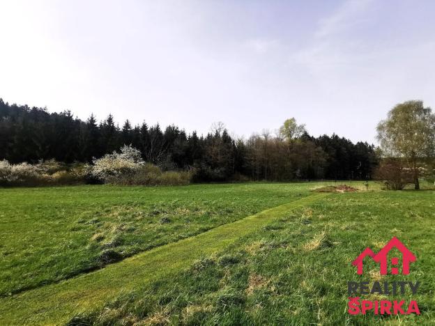 Prodej trvalého travního porostu, Dlouhoňovice, 4698 m2