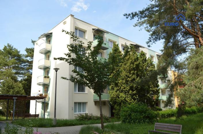 Pronájem bytu 3+1, Tábor, Sokolovská, 65 m2
