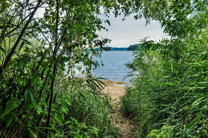 Prodej pozemku pro bydlení, Horní Planá, 1000 m2