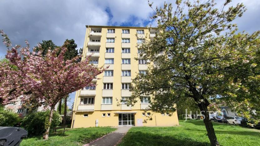 Pronájem bytu 2+1, Písek - Budějovické Předměstí, Dr. M. Horákové, 52 m2