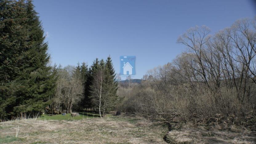 Prodej pozemku pro bydlení, Horní Vltavice, 8046 m2