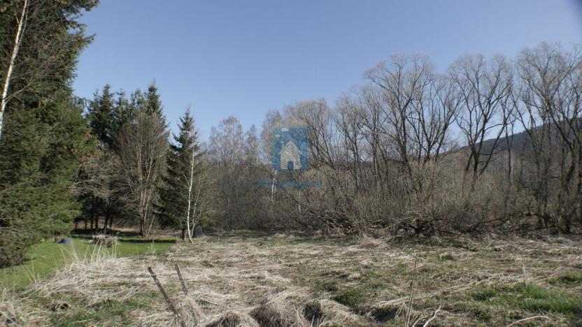 Prodej pozemku pro bydlení, Horní Vltavice, 8046 m2