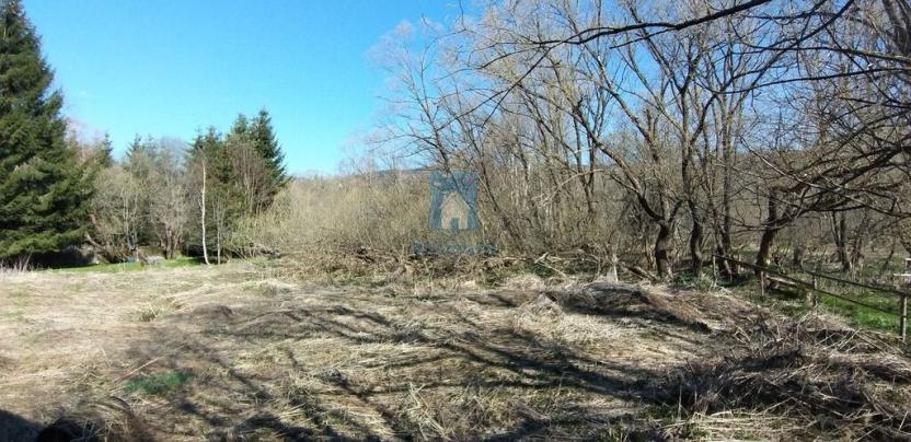 Prodej pozemku pro bydlení, Horní Vltavice, 8046 m2