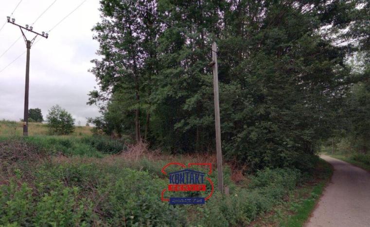 Prodej trvalého travního porostu, Nové Hrady, 1475 m2