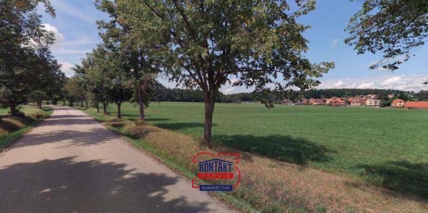 Prodej zemědělské půdy, Litvínovice, 8823 m2