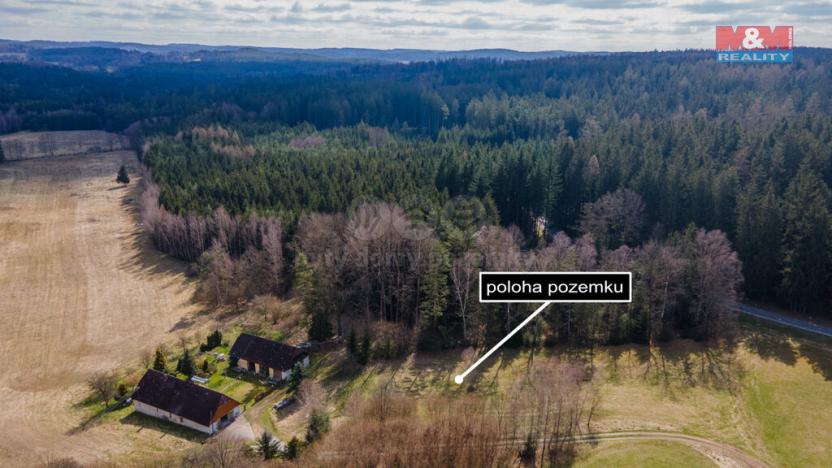 Prodej trvalého travního porostu, Číměř - Nová Ves, 4279 m2