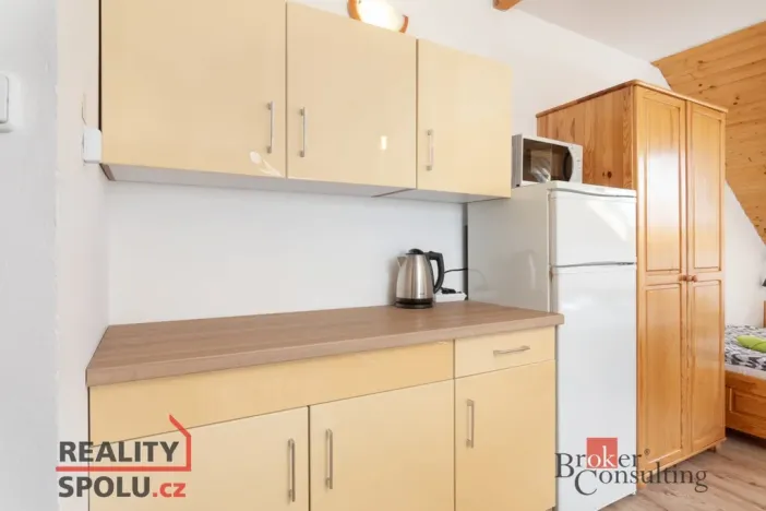 Prodej ubytování, Rudná pod Pradědem - Stará Rudná, 261 m2