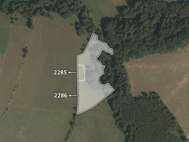 Prodej trvalého travního porostu, Lačnov, 6693 m2