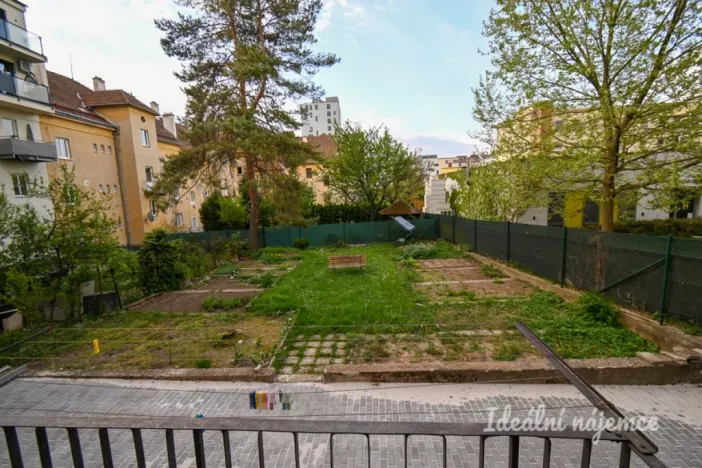 Pronájem bytu 1+1, Brno, Tyršova, 37 m2