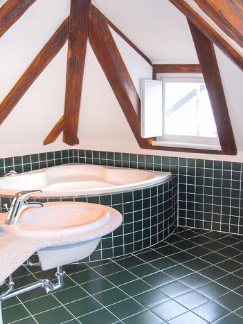 Pronájem bytu 4+kk, Praha - Malá Strana, Vlašská, 221 m2