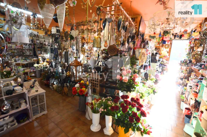 Pronájem obchodního prostoru, Ledeč nad Sázavou, Mostecká, 182 m2