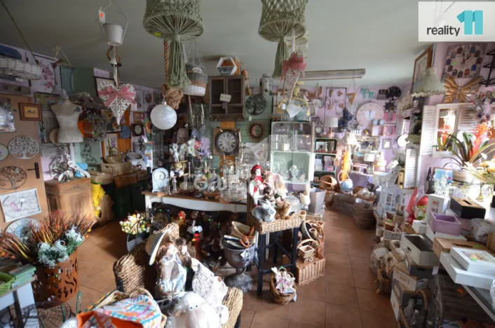 Pronájem obchodního prostoru, Ledeč nad Sázavou, Mostecká, 182 m2