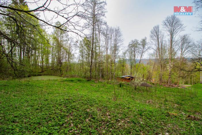 Prodej pozemku pro bydlení, Kašperské Hory - Lídlovy Dvory, 5684 m2