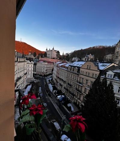 Prodej bytu 3+1, Karlovy Vary, Sadová, 112 m2