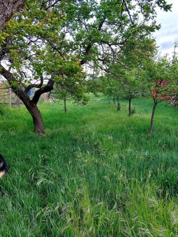 Prodej pozemku pro bydlení, Perná, 2224 m2