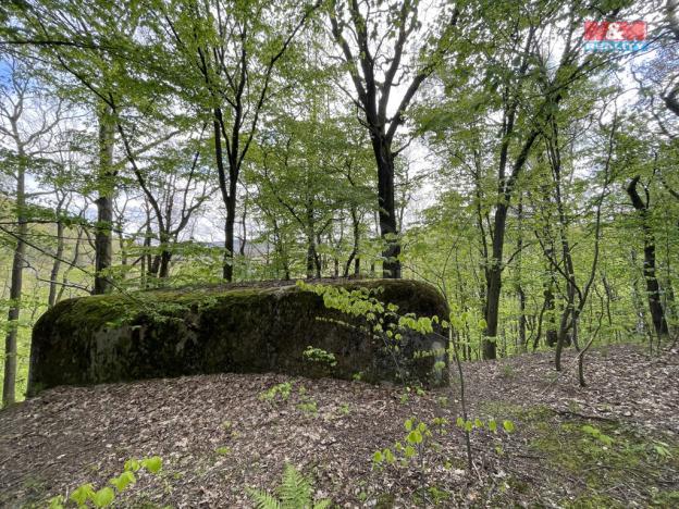 Prodej zahrady, Chrastava - Andělská Hora, 2545 m2