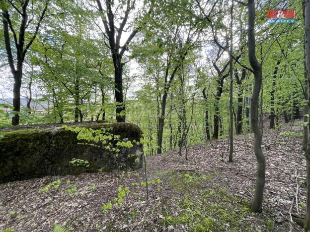 Prodej zahrady, Chrastava - Andělská Hora, 2545 m2