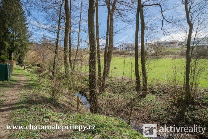 Prodej chaty, Chyňava - Malé Přílepy, 40 m2